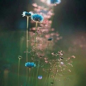 Meet your Posher, Pam